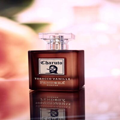 Paris Corner Charuto Tobacco Vanille Unisex Eau de Perfume, 100 ml