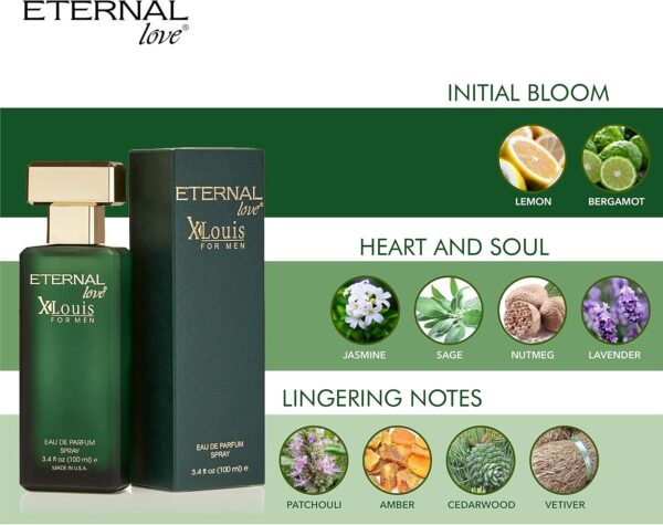 Eternal Love Perfume Spray X-Louis For Men's 100ml, EDP - Image 2